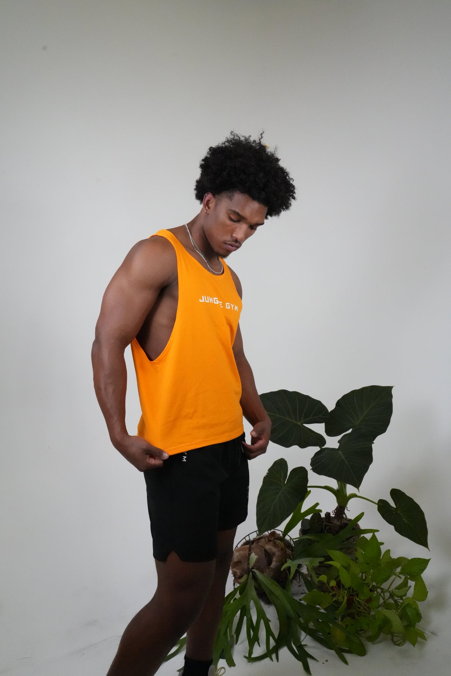 Jungle Instinct Tanks